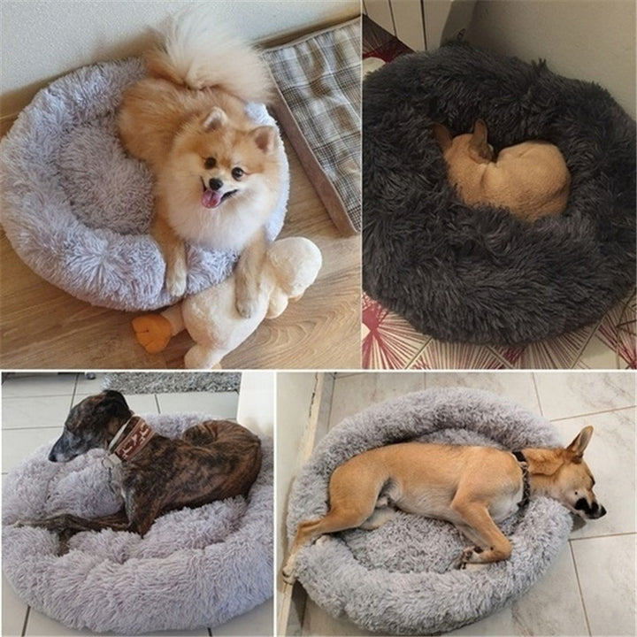 PetRest - Komfortabel hundekurv til din firbenede ven