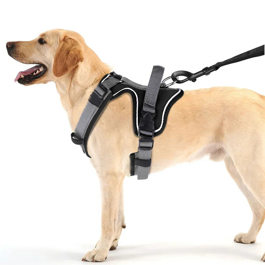 PawFlex - smidig hundesele med reflekterende design og robust håndtag