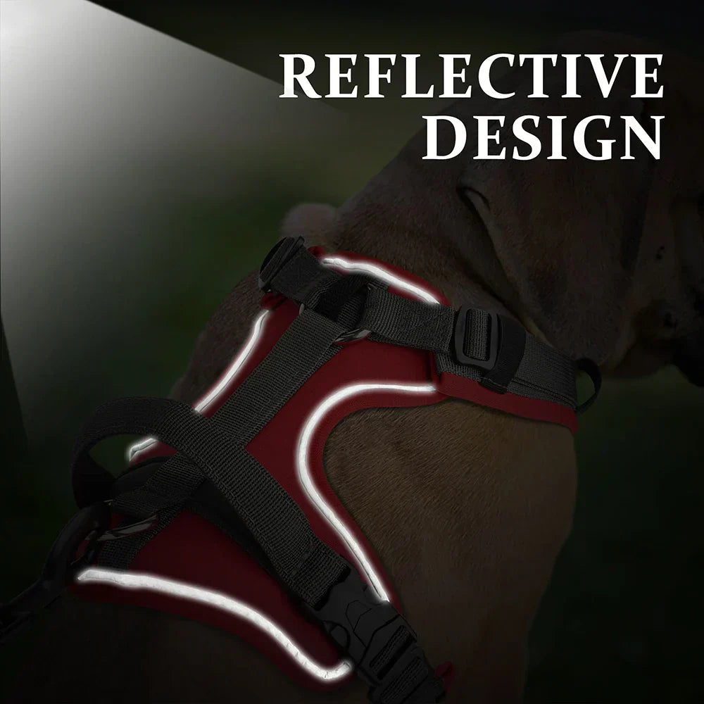 PawFlex - smidig hundesele med reflekterende design og robust håndtag