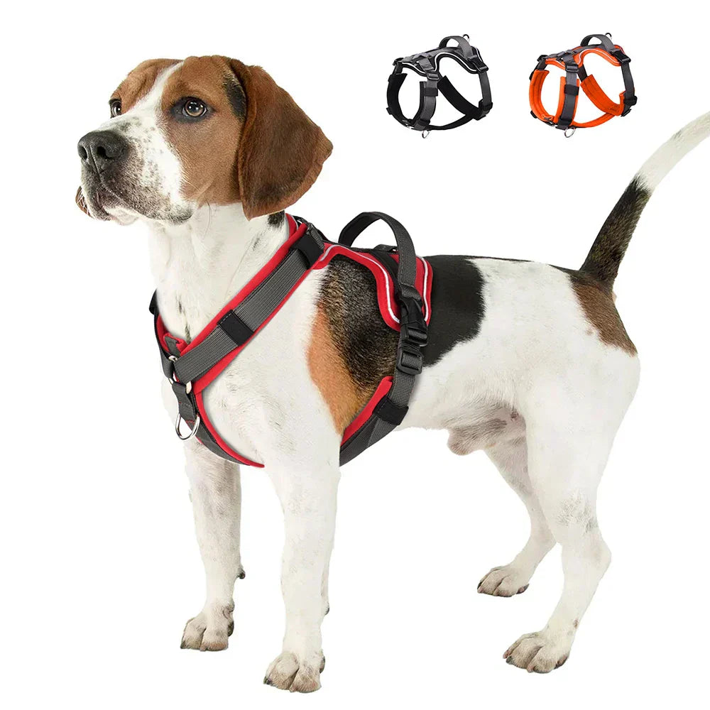 PawFlex - smidig hundesele med reflekterende design og robust håndtag