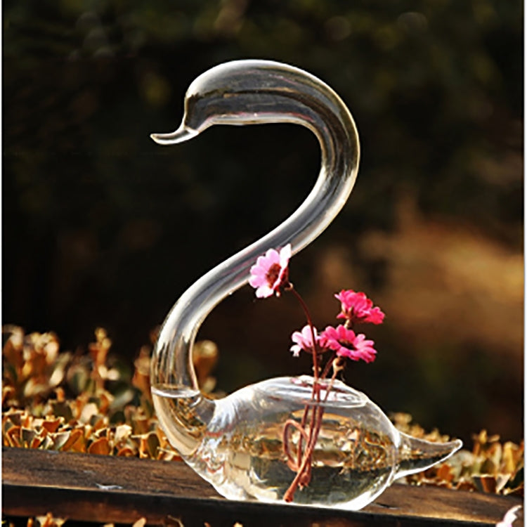 HarmoniaGlass - Svanepar, glasvaser, blomsterplanter, terrariesæt