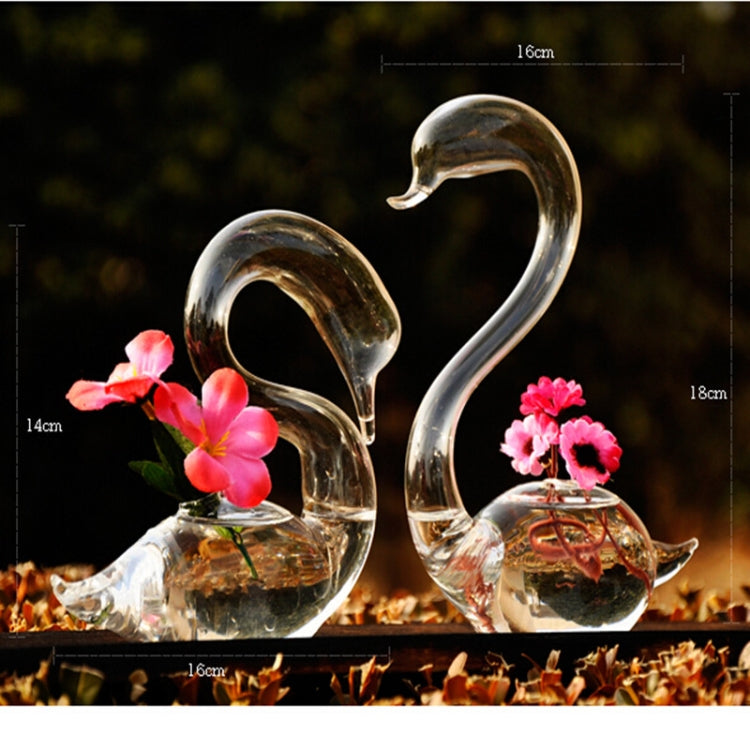 HarmoniaGlass - Svanepar, glasvaser, blomsterplanter, terrariesæt