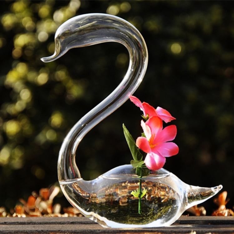 HarmoniaGlass - Svanepar, glasvaser, blomsterplanter, terrariesæt