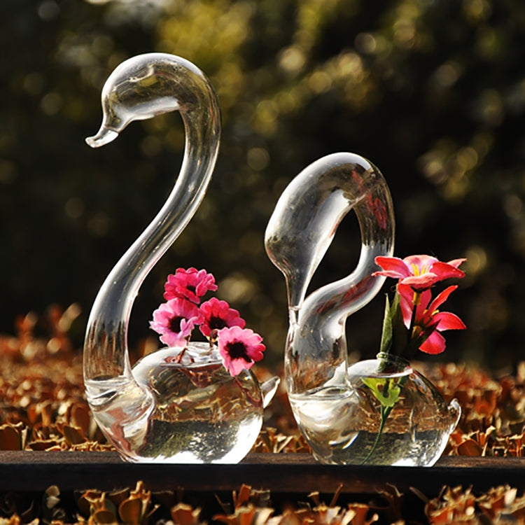 HarmoniaGlass - Svanepar, glasvaser, blomsterplanter, terrariesæt
