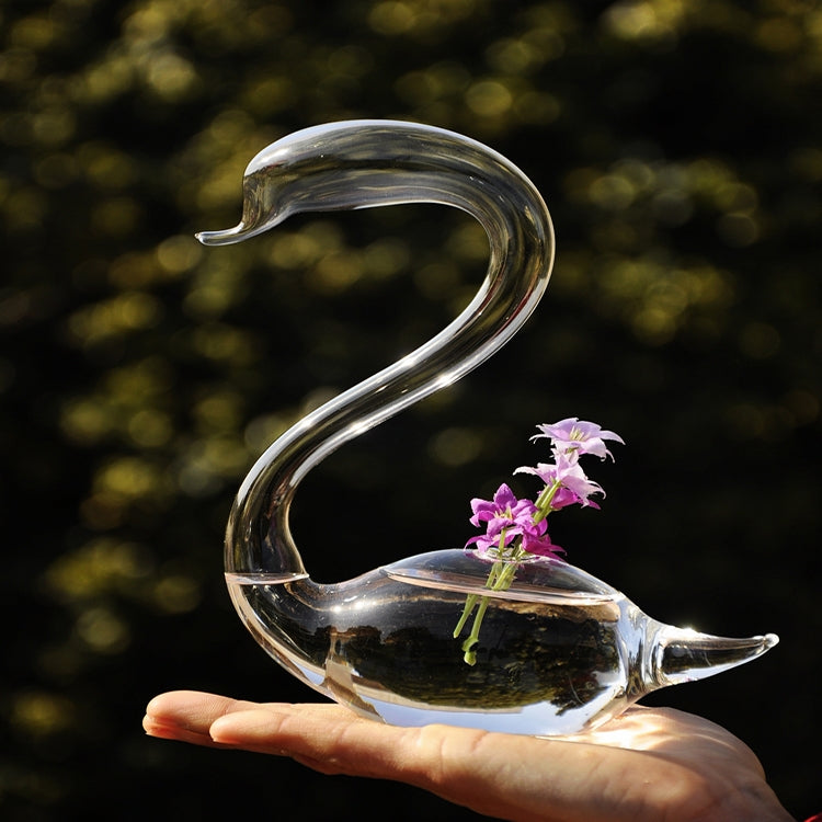 HarmoniaGlass - Svanepar, glasvaser, blomsterplanter, terrariesæt