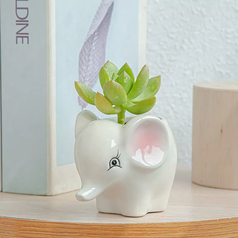 TierBloom - Dyrepotter | Gem blomsterpotter og spred glæde