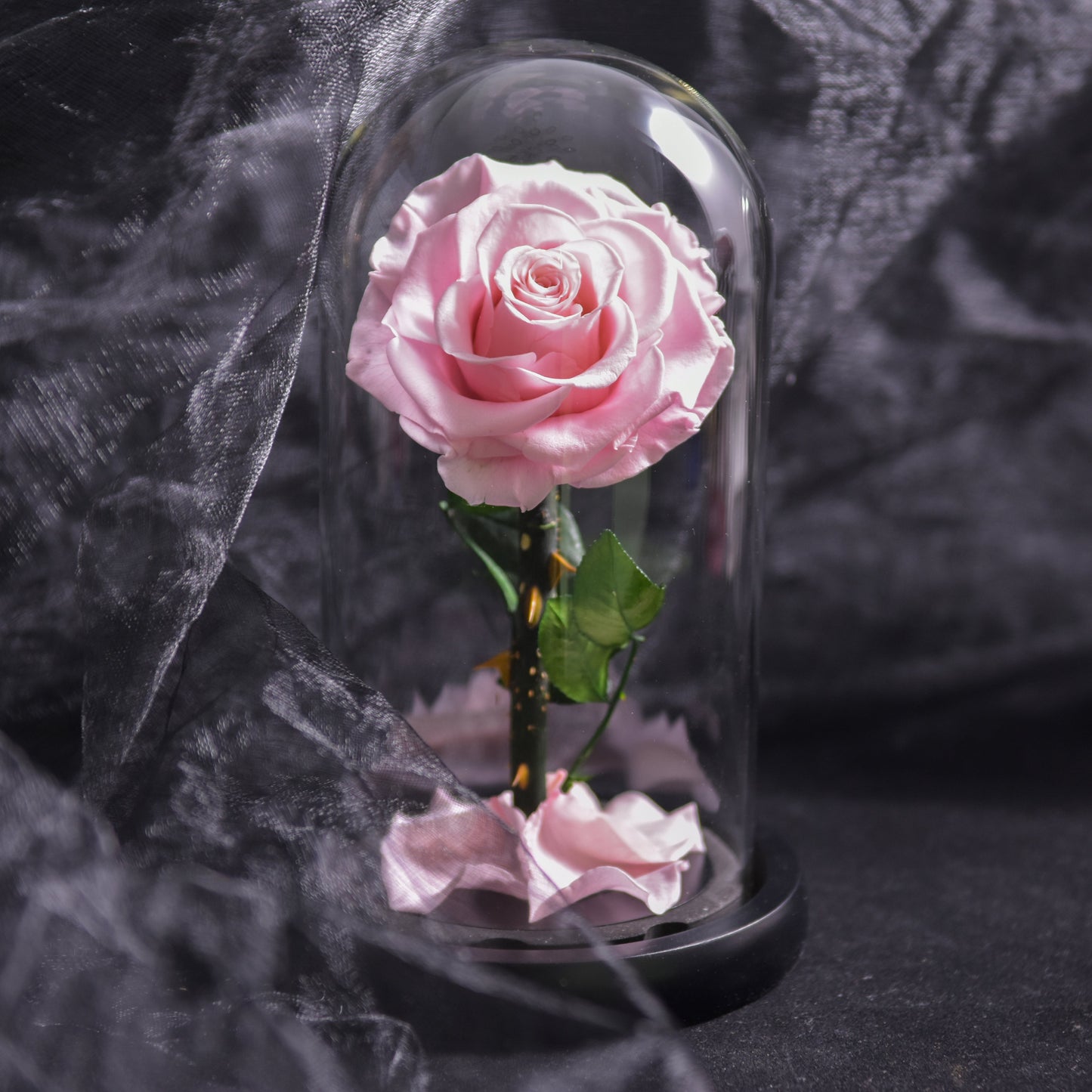 EternalBloom - Forever Rose, evighedsrose i glaskuppel, 3 dages leveringstid, blå