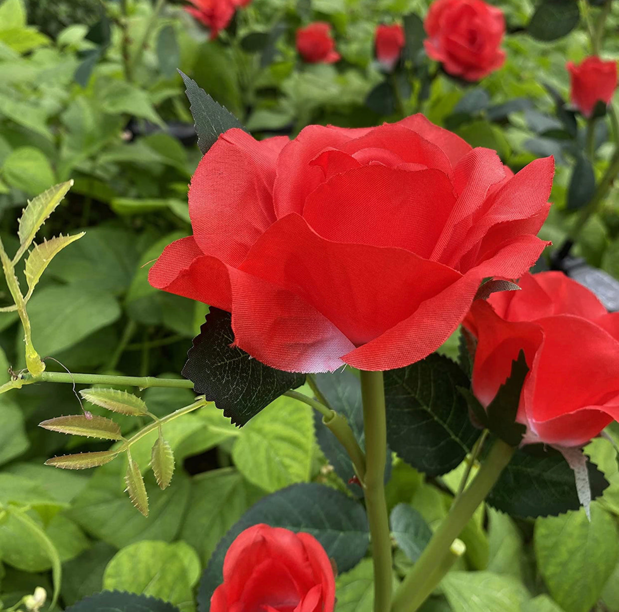 LuminaBloom - Solcelle-rosetter med LED (pakke med 2)