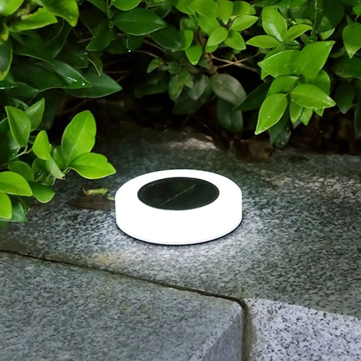 SolarLux - Luksuriøse og funktionelle solcelle-gulvlamper - 4 stk.