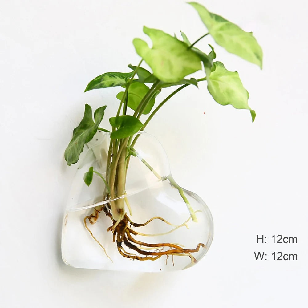 GlasArt - Vægvase lavet af glas | Elegante vægvaser lavet af borosilikatglas til din kreativitet