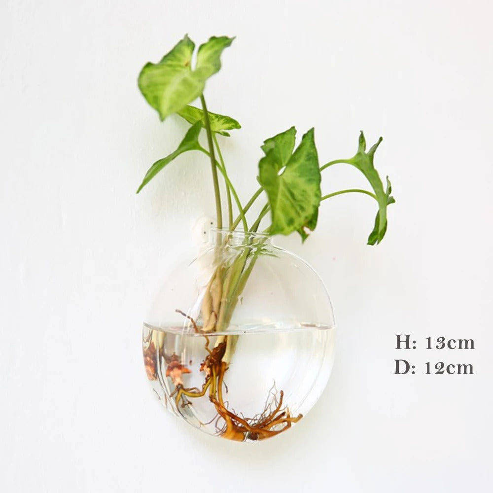 GlasArt - Vægvase lavet af glas | Elegante vægvaser lavet af borosilikatglas til din kreativitet