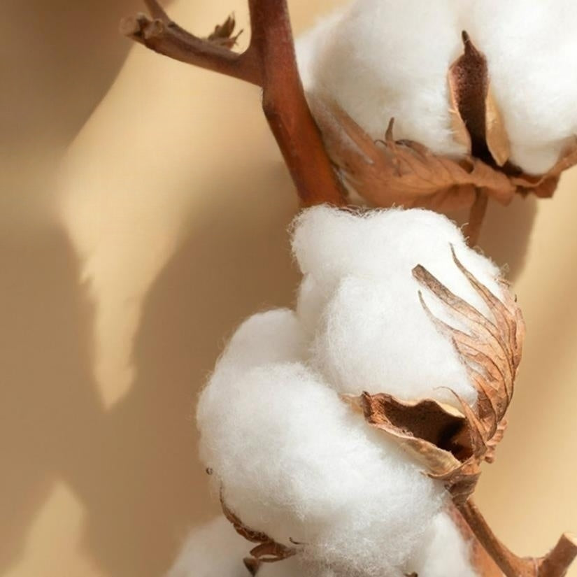 Luxanoir - Deluxe sengelinned i satinbomuld med broderi - 4-delt - LB7